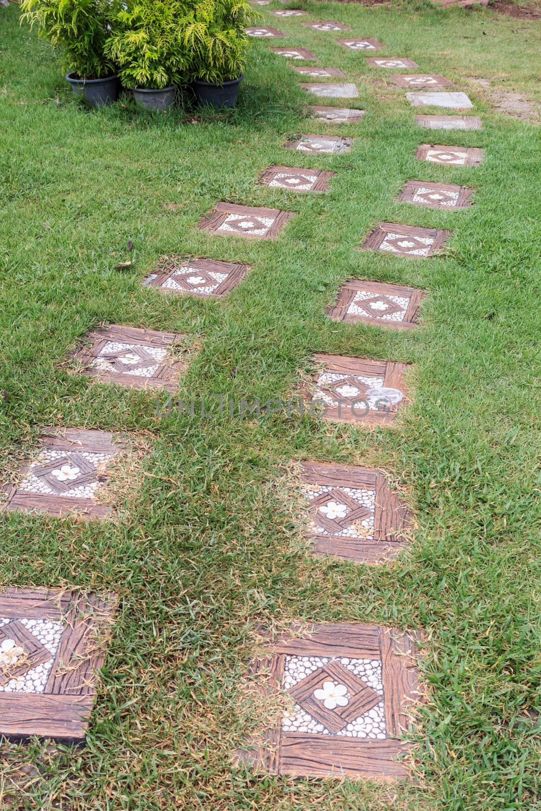 Stone walkway in the park with green grass.