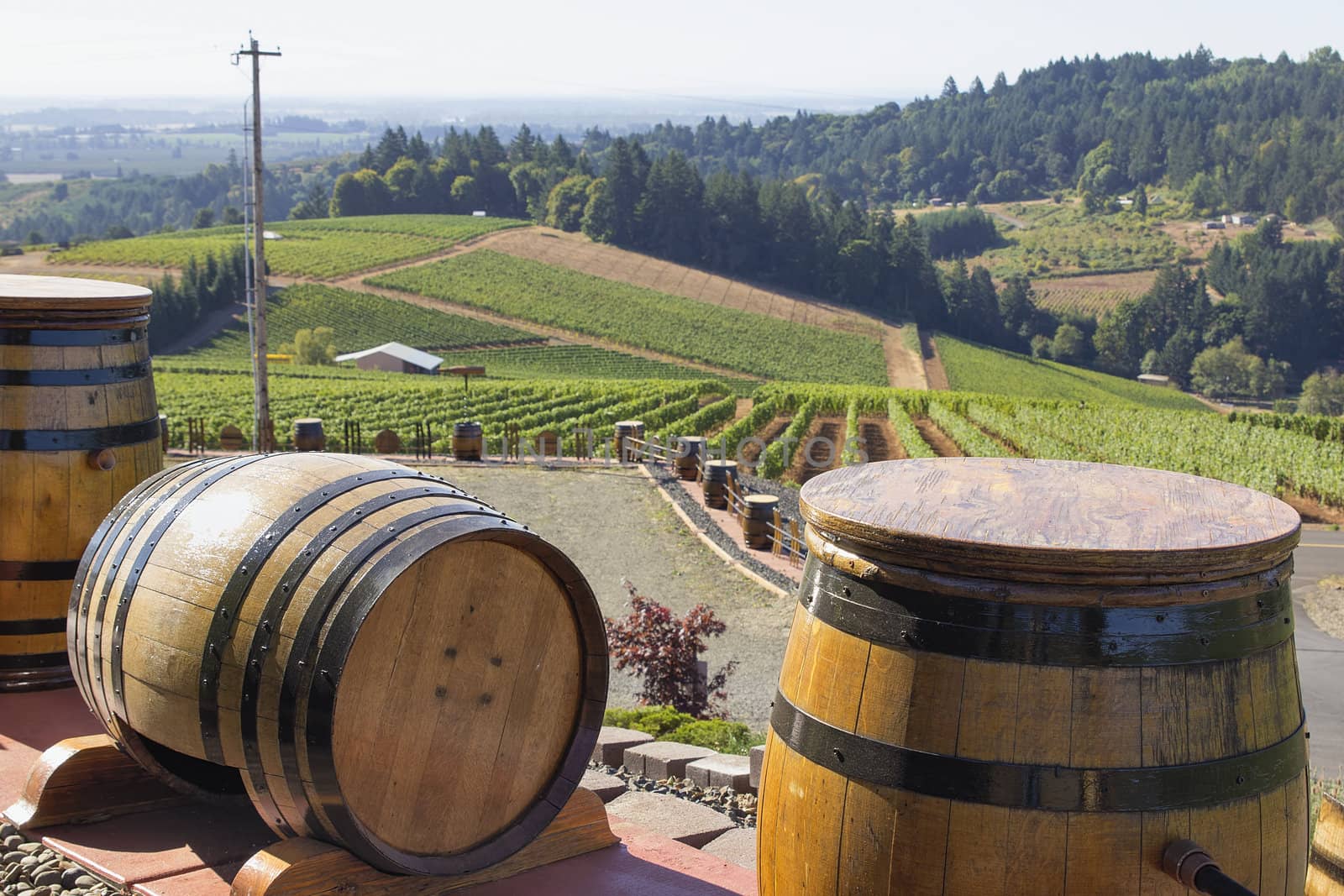 Wine Barrels with Winery Vineyard in Background