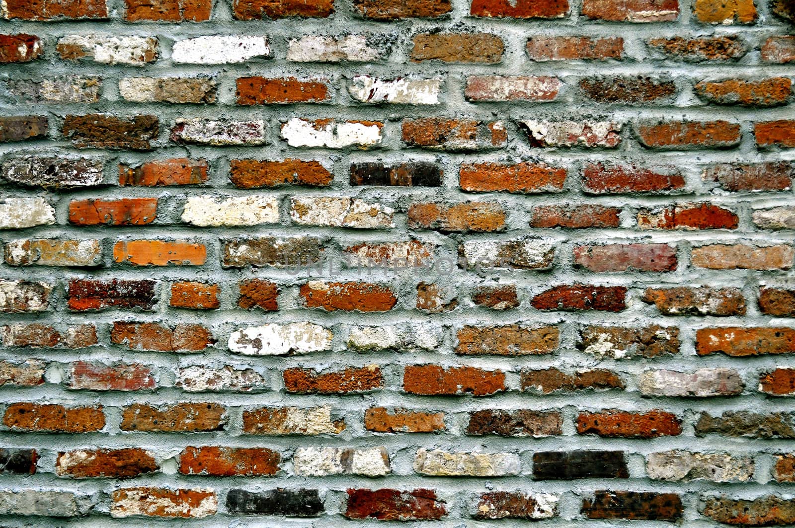 Brick Wall