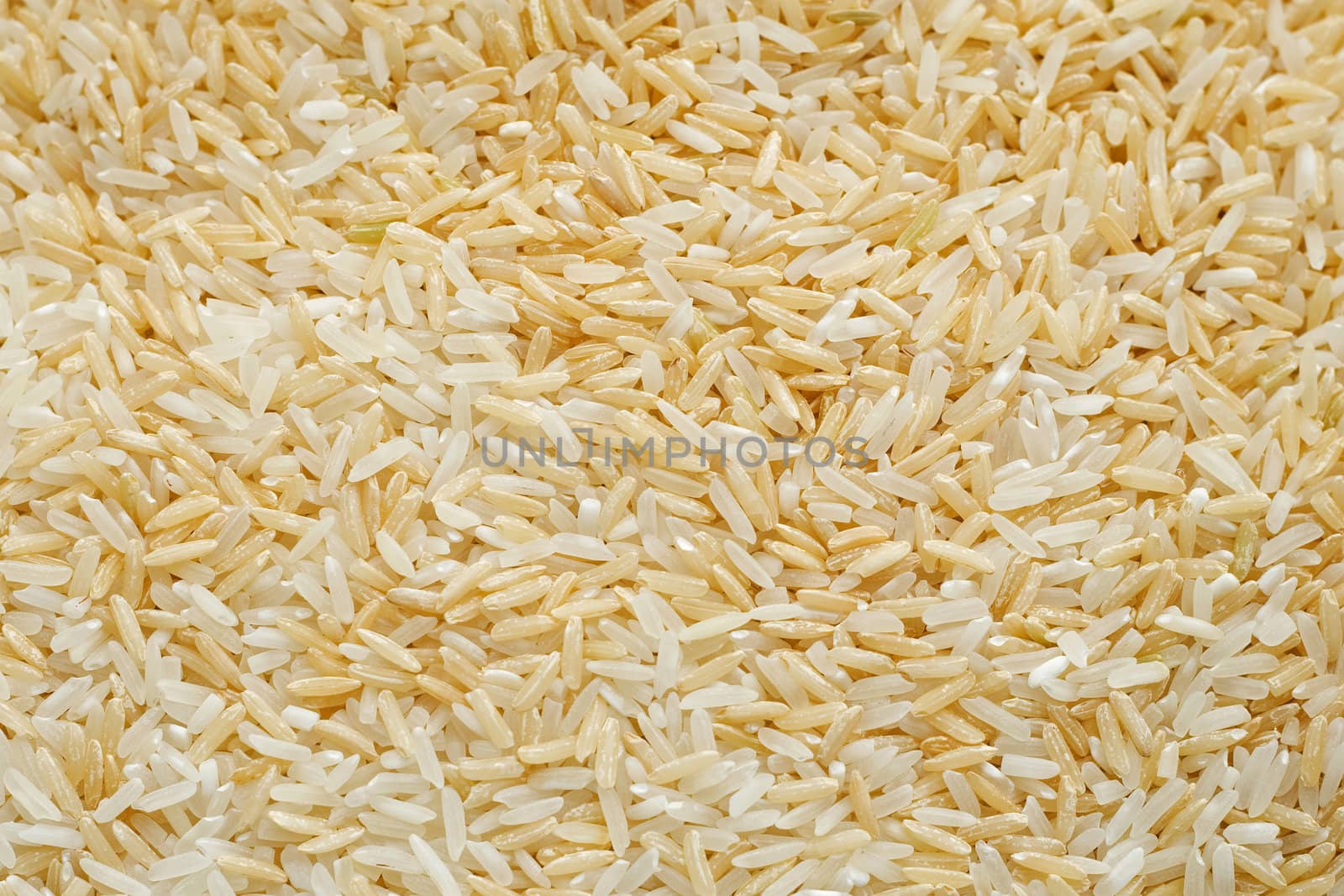 Rice background 