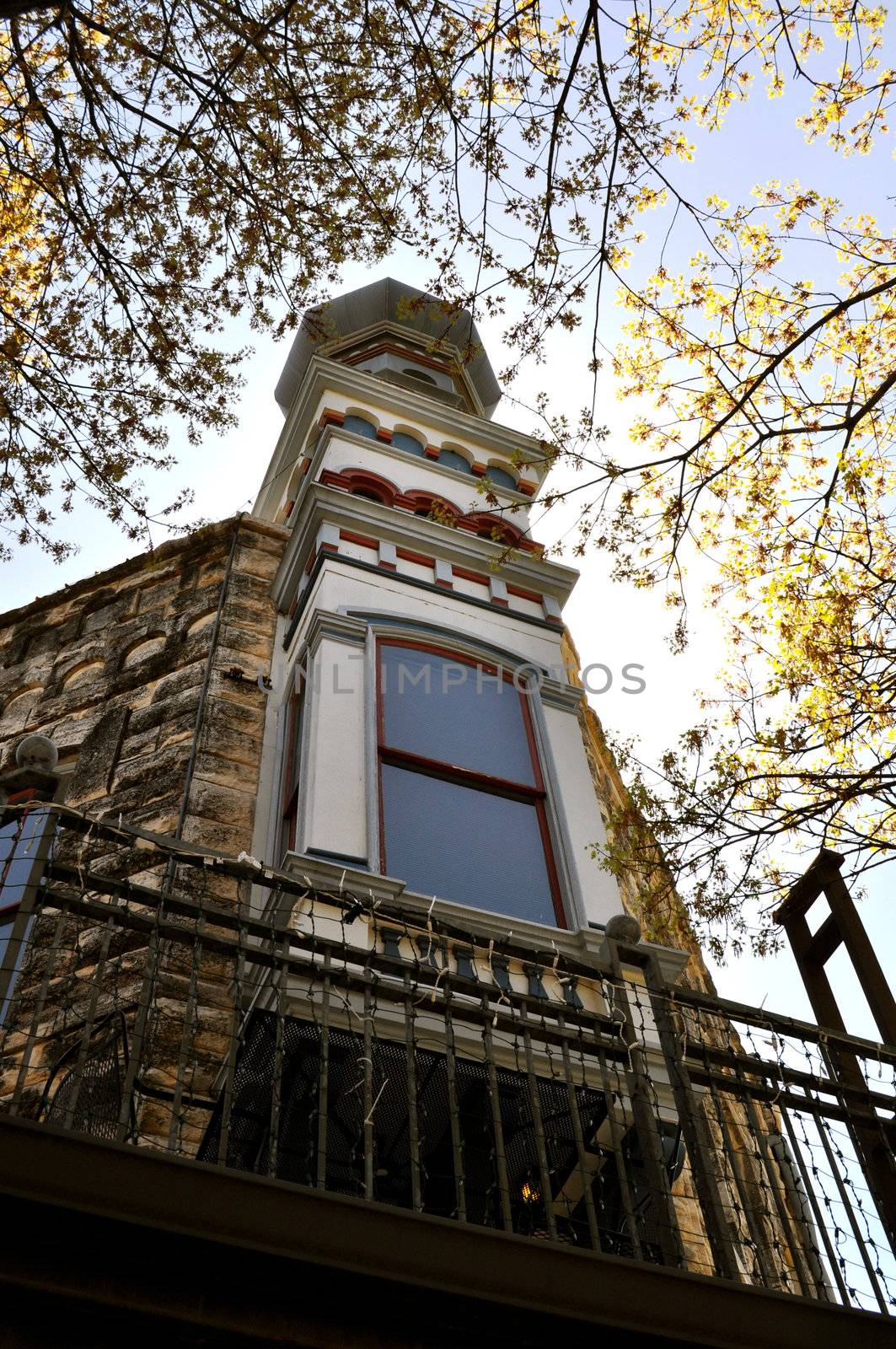 Georgetown Texas architecture and tree by RefocusPhoto