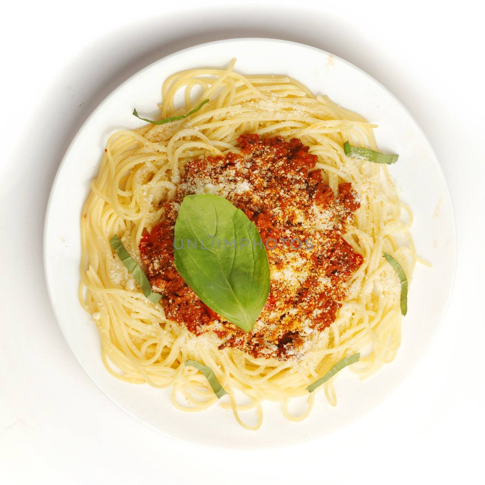 Spaghetti bolognese on white plate top view