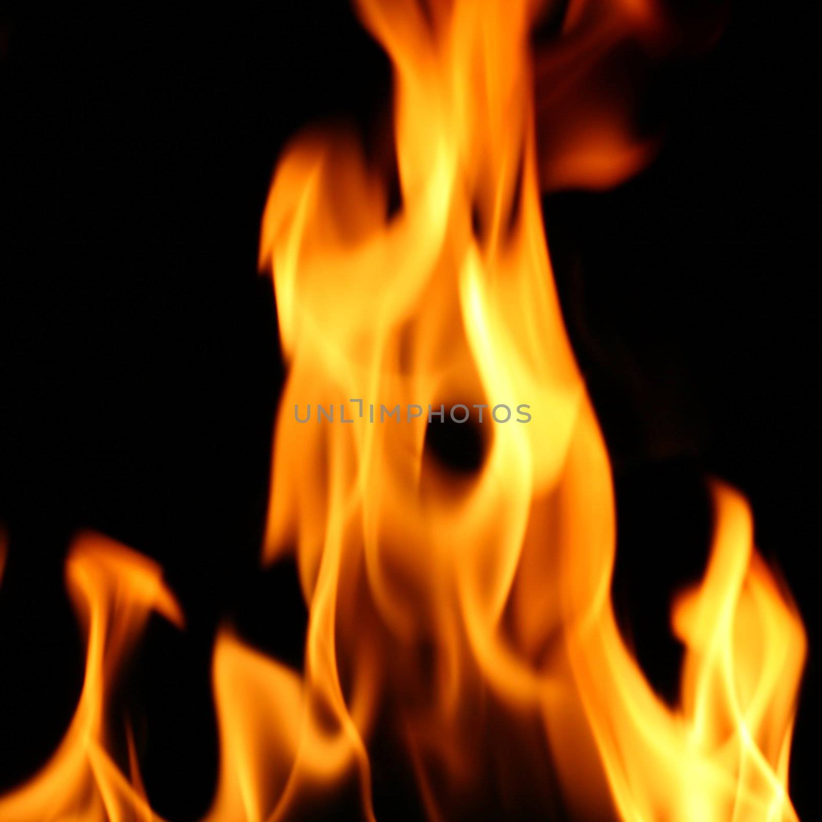 fire flame close up on black background