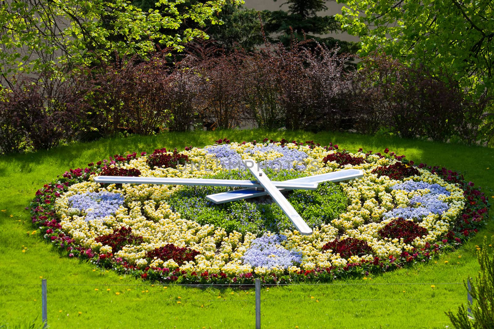 Colorful flower clock in the city Ventspils
