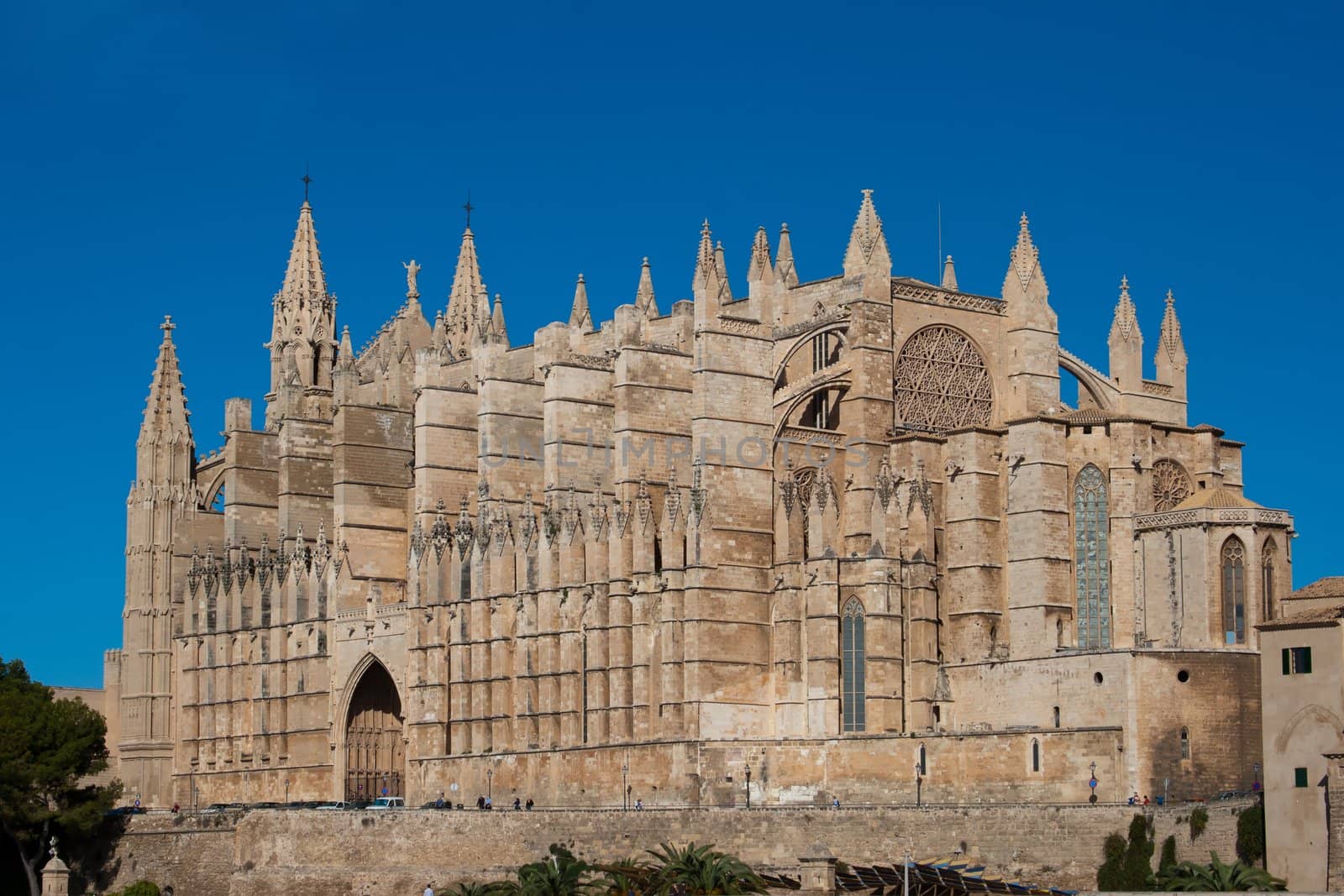 "La Seu" Cathedral of Palma is a Gothic Roman Catholic cathedral located in Palma, Majorca, Spain
