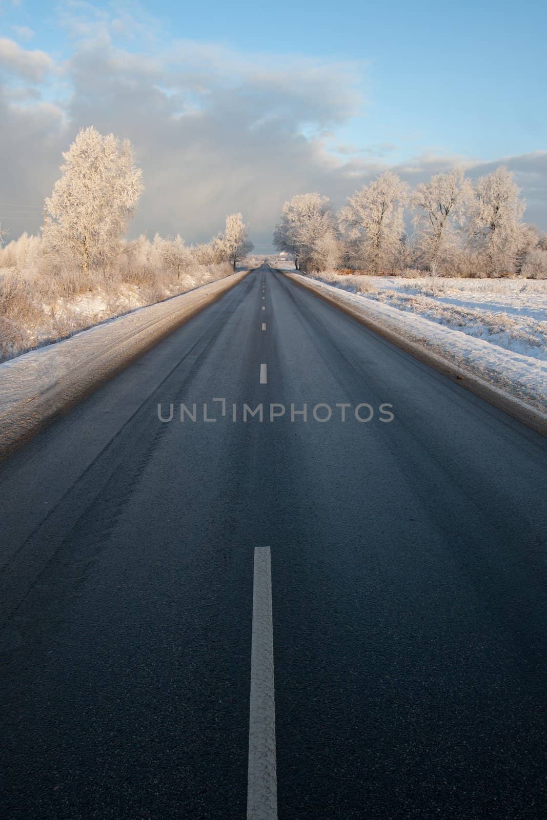 Winter road in very cold winter morning with frosty tree