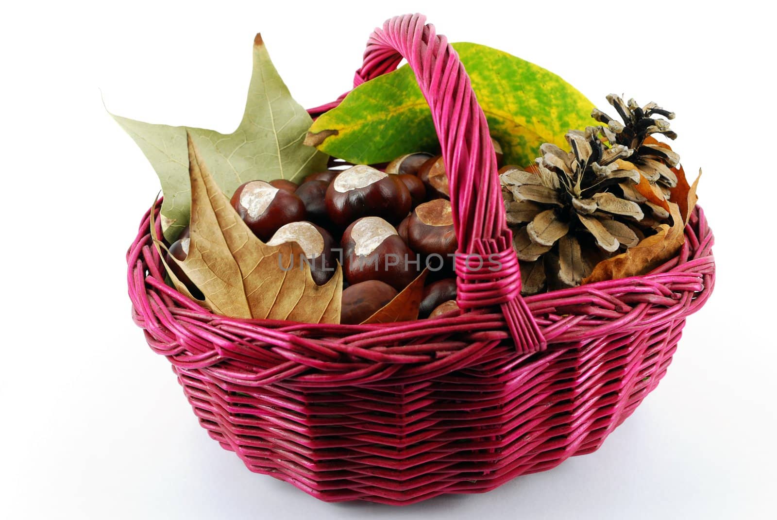 Basket full with chestnut leaves and pine-cone fall scene
