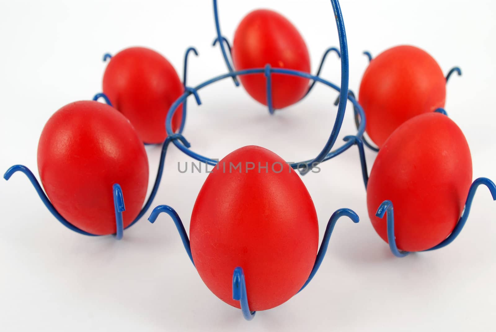 Easter chicken red eggs on white