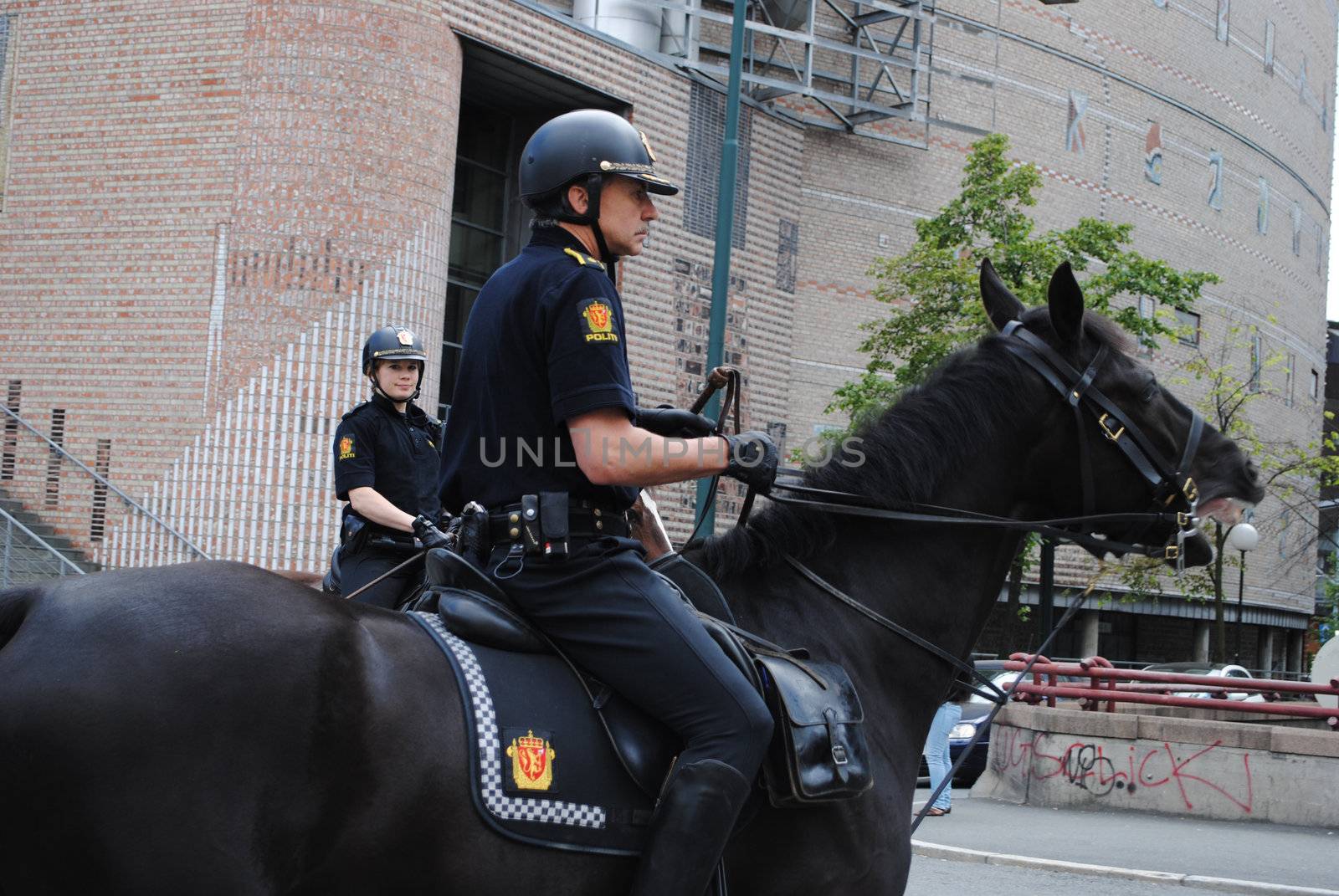 A couple of police horses in central oslo, Norway.