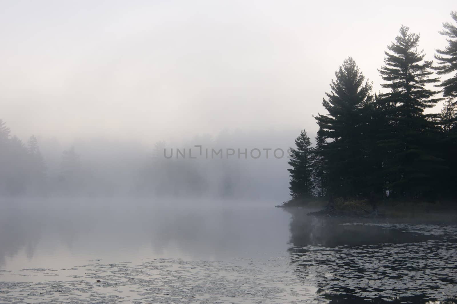 Fog above forest lake in Killarney Park in the morning