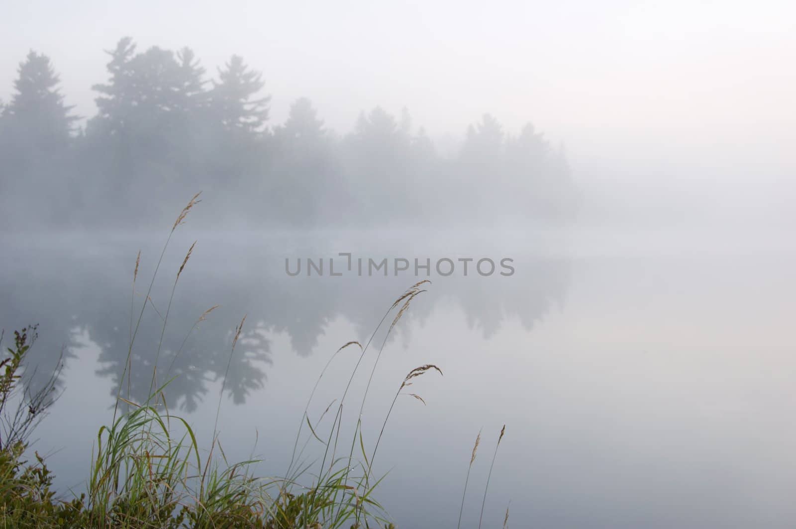 Fog above forest lake in Killarney Park in the morning