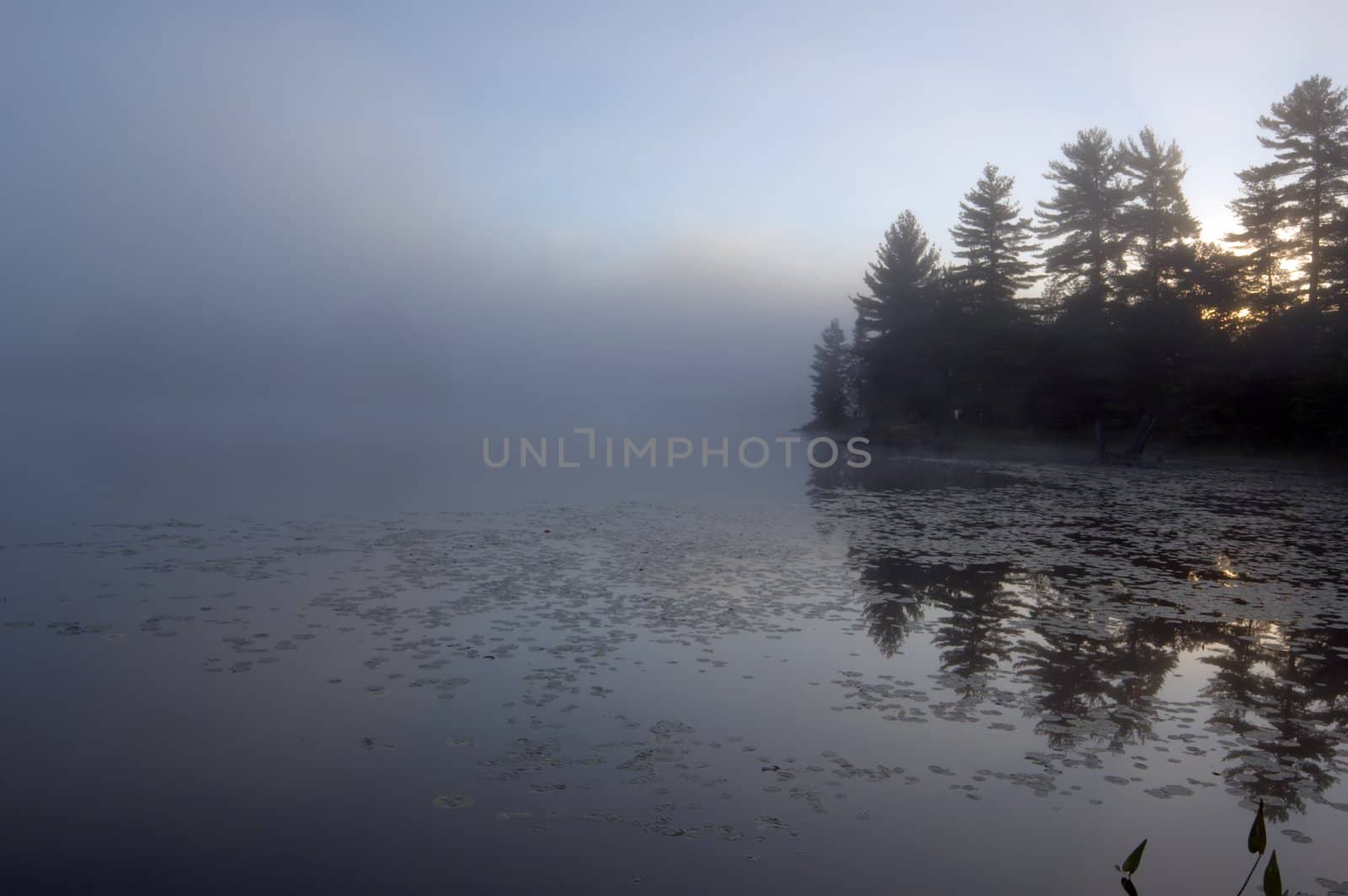 Fog above forest lake in Killarney Park in the morning