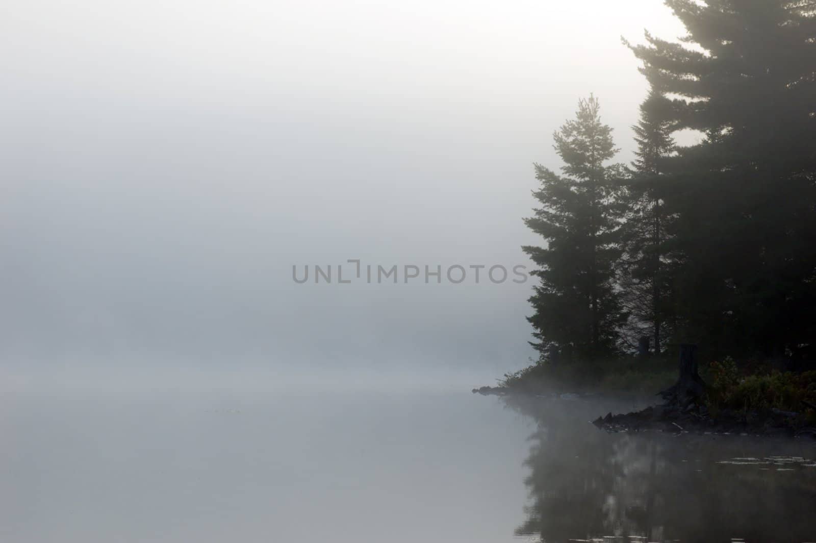 Fog above forest lake in Killarney Park in the morning