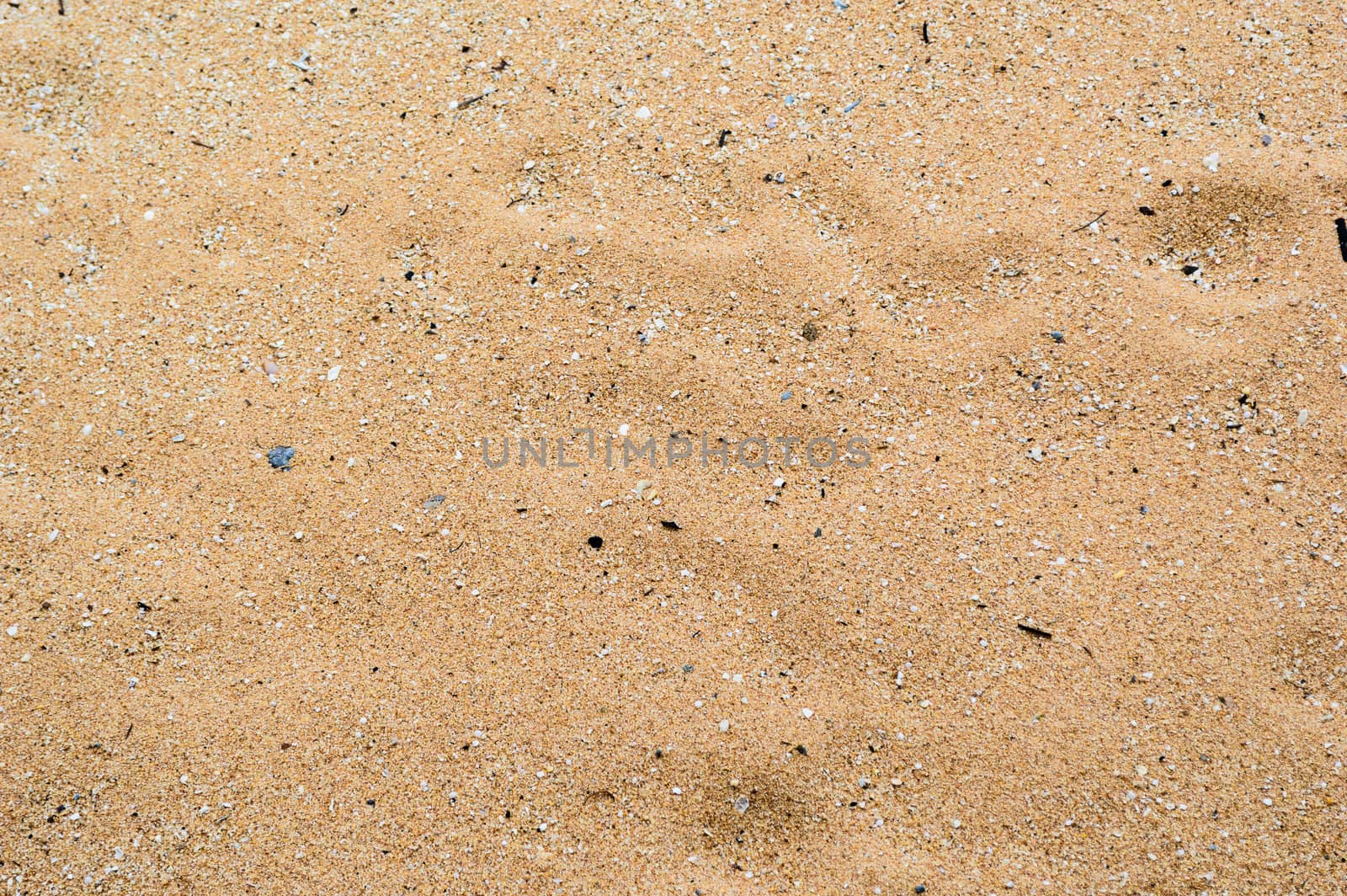 Sea sand on the Beach.