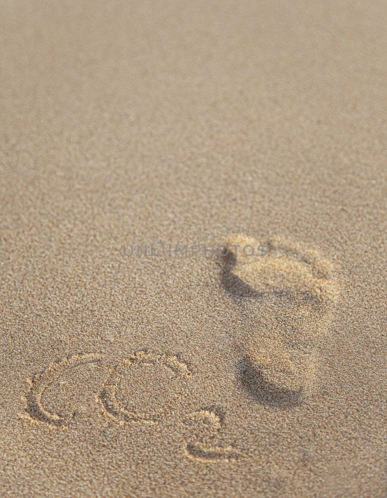 footprint and carbon dioxide imprints on the beach