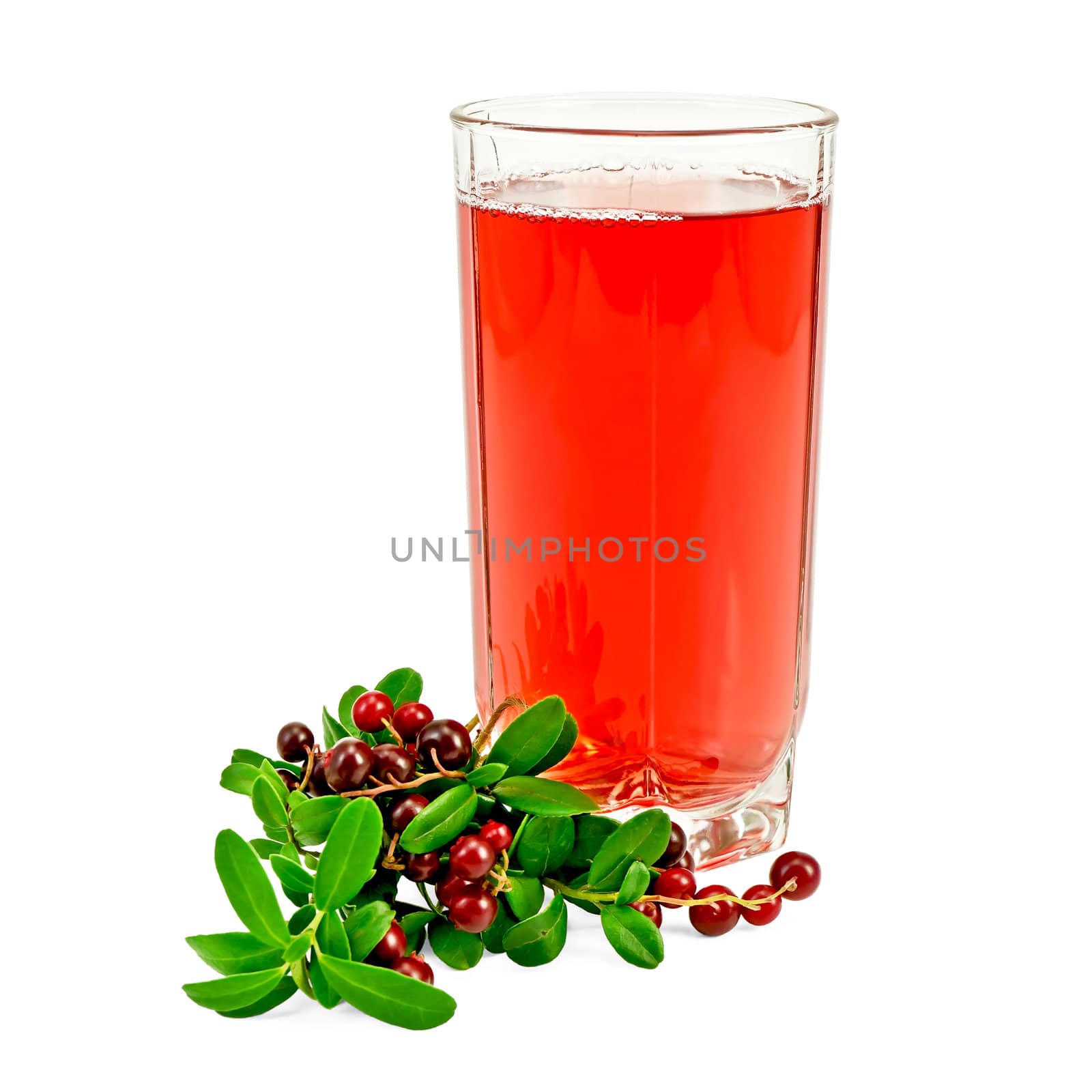 Cowberry juice in a tall glass, a bunch of twigs cowberry with green leaves and berries isolated on white background