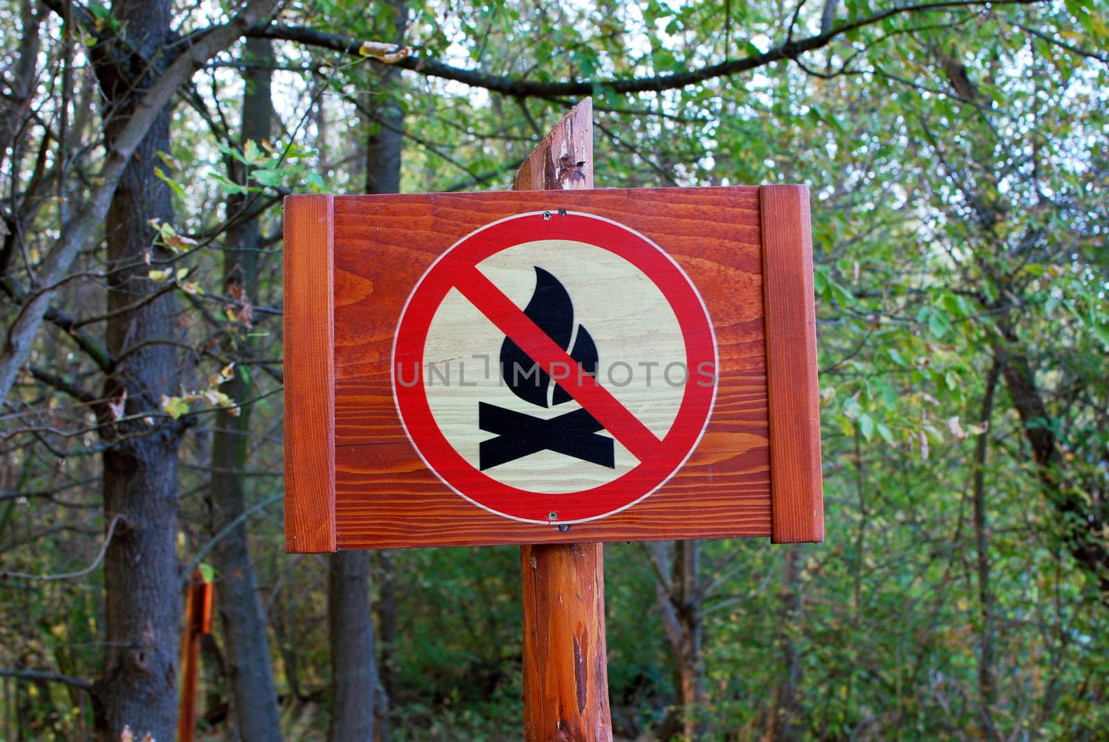 Warning sign no fire in forest
