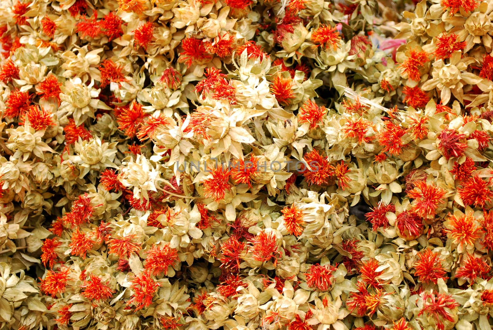 Decorative drying flower close detail
