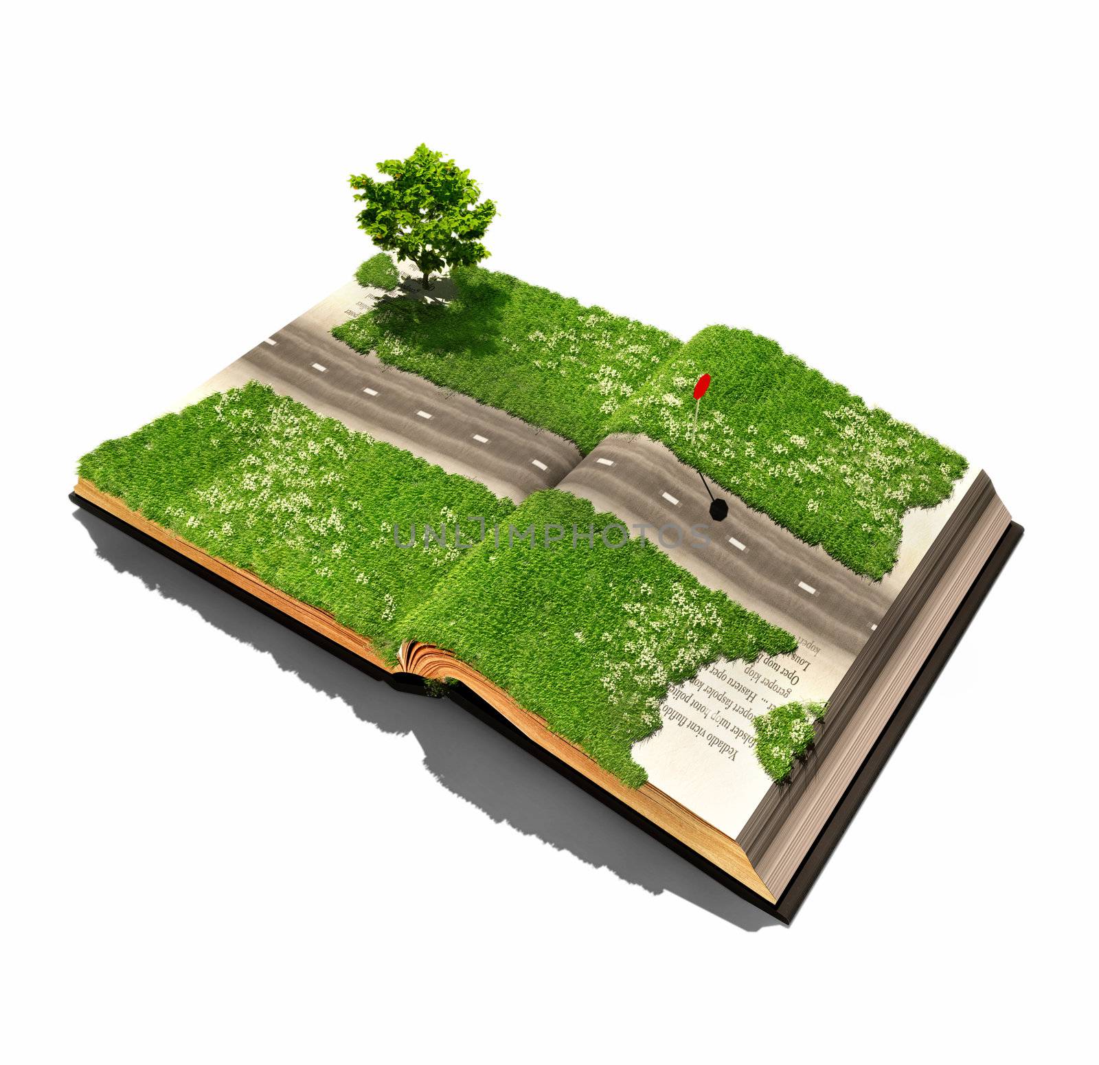 road on the book pages (illustrated concept)