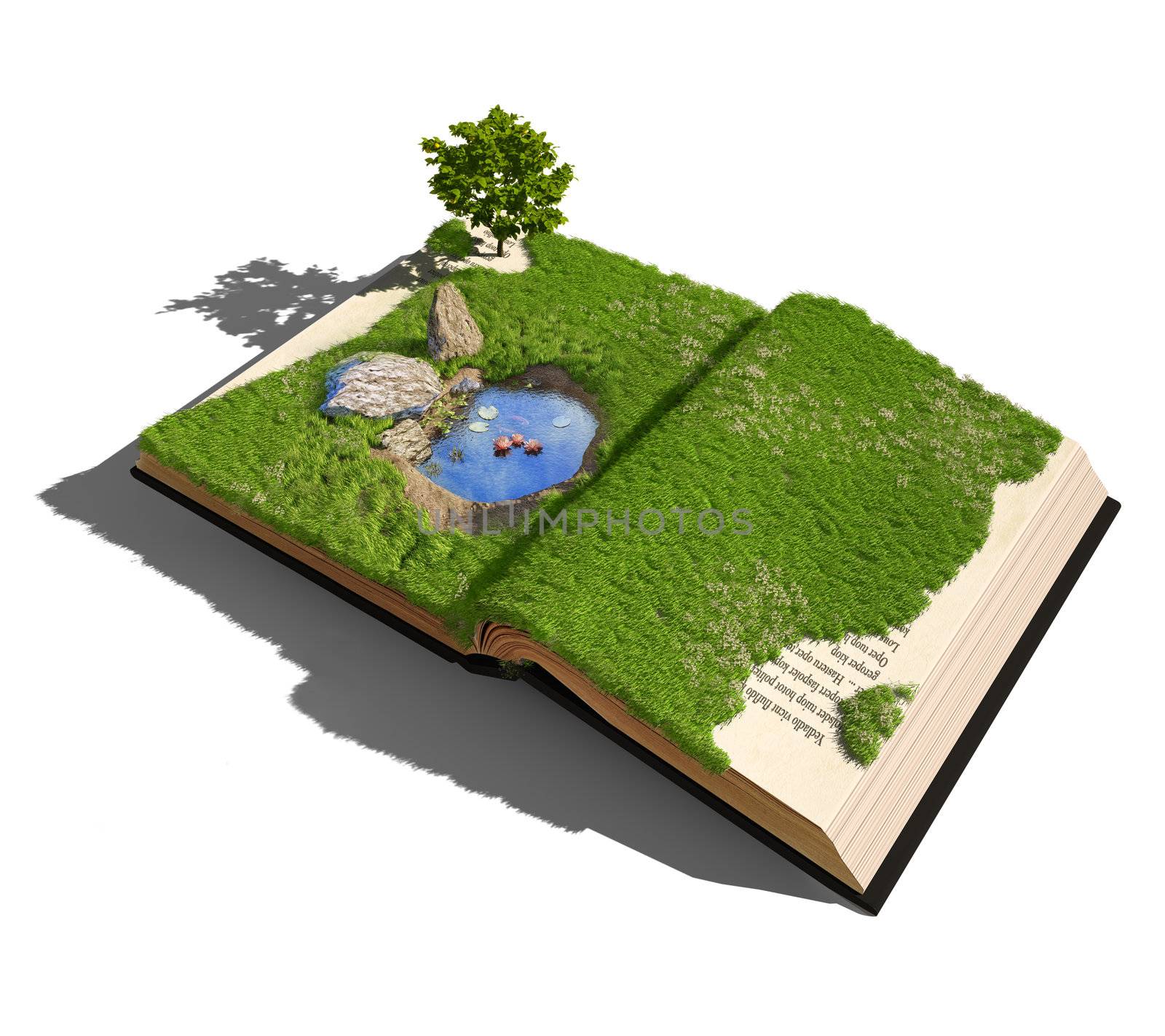 open book with grass , tree and little pond . illustrated concept