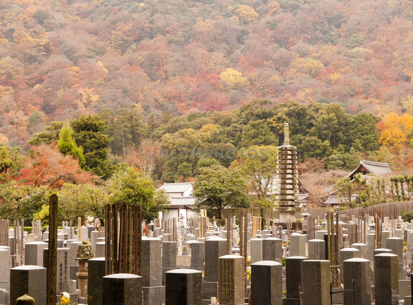 Japanese graveyard in autumn, Kyoto, Japan.