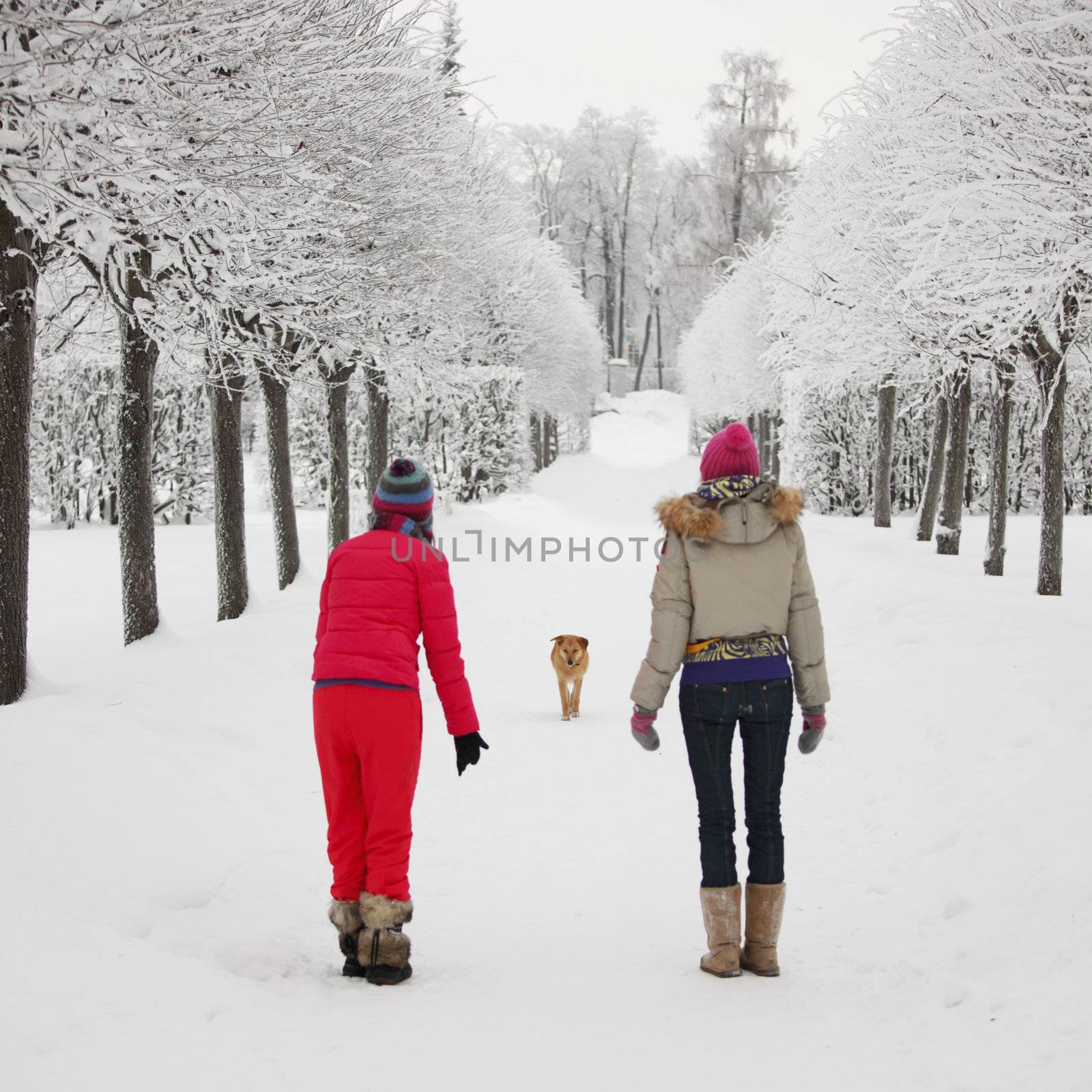 winter walking by Yellowj