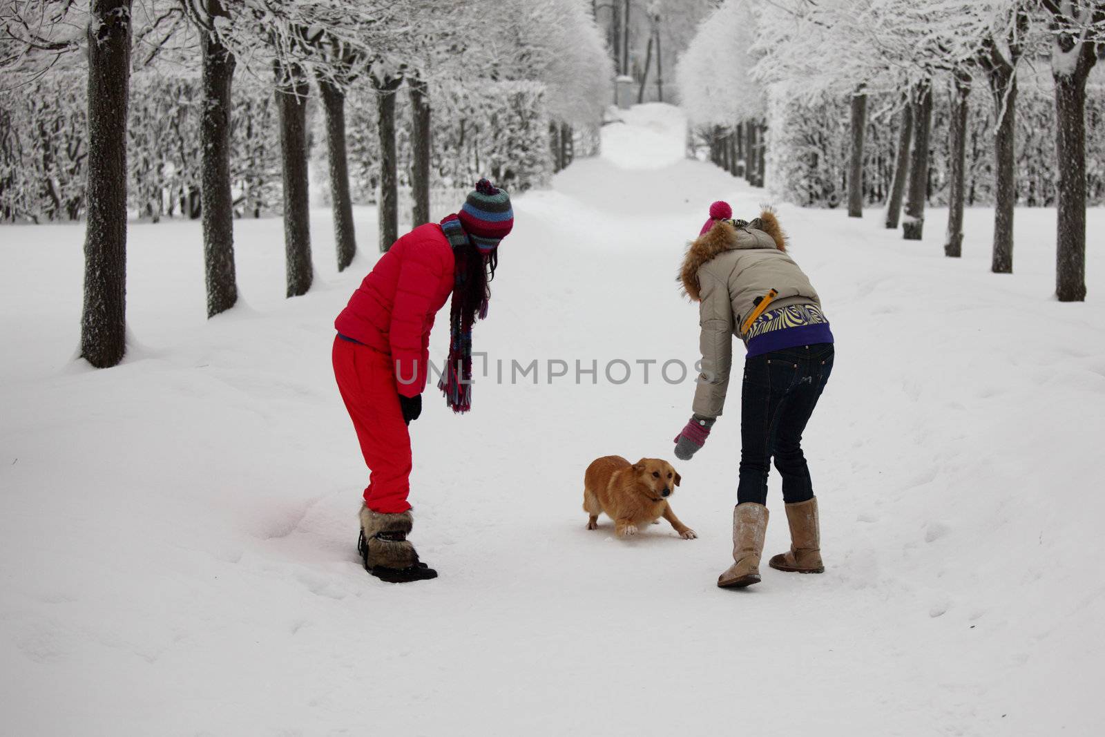 two women walk by winter alley snow trees on background