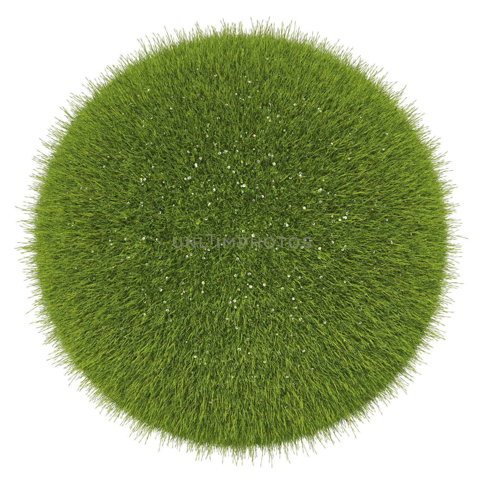 World of grass and flowers: green globe isolated on white