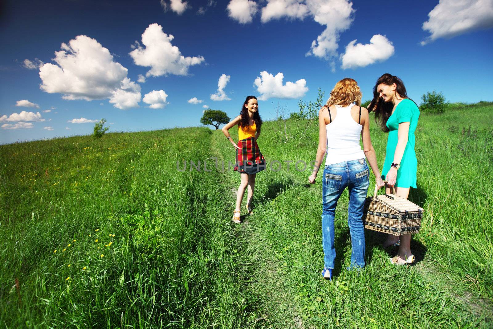 girlfriends on picnic in green grass field