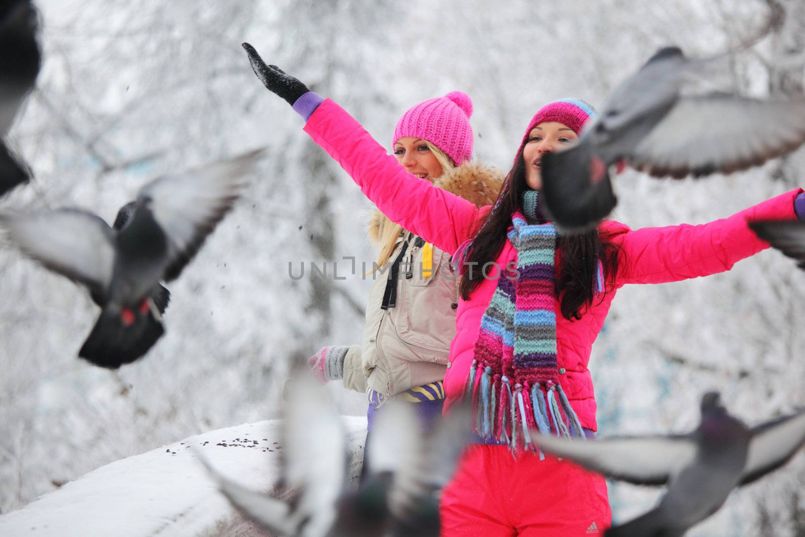 winter women give food to the pigeon