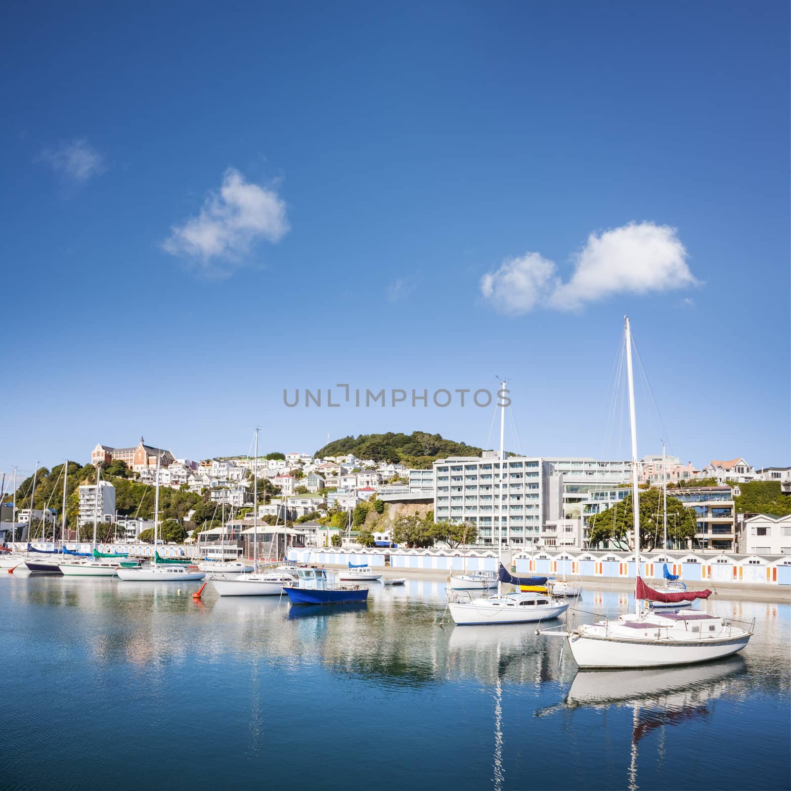 Some of New Zealand's most expensive real estate is situated in Oriental Bay, this beautiful Wellington hillside suburb overlooking the marina..***INSPECTORS THIS IS NOT UPSIZED, IT IS TWO PHOTOS JOINED***