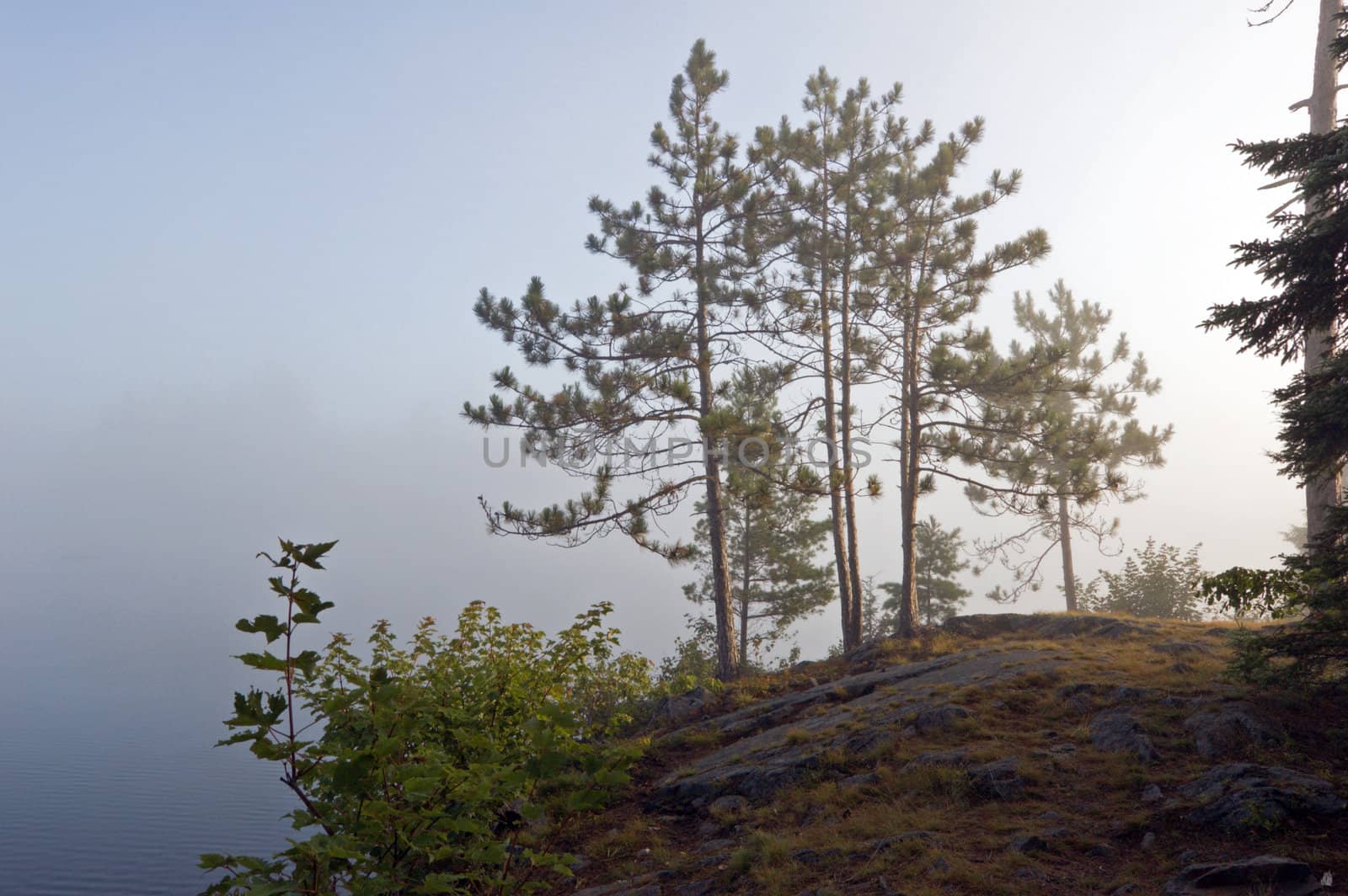Fog above forest lake in Killarney Park in the morning