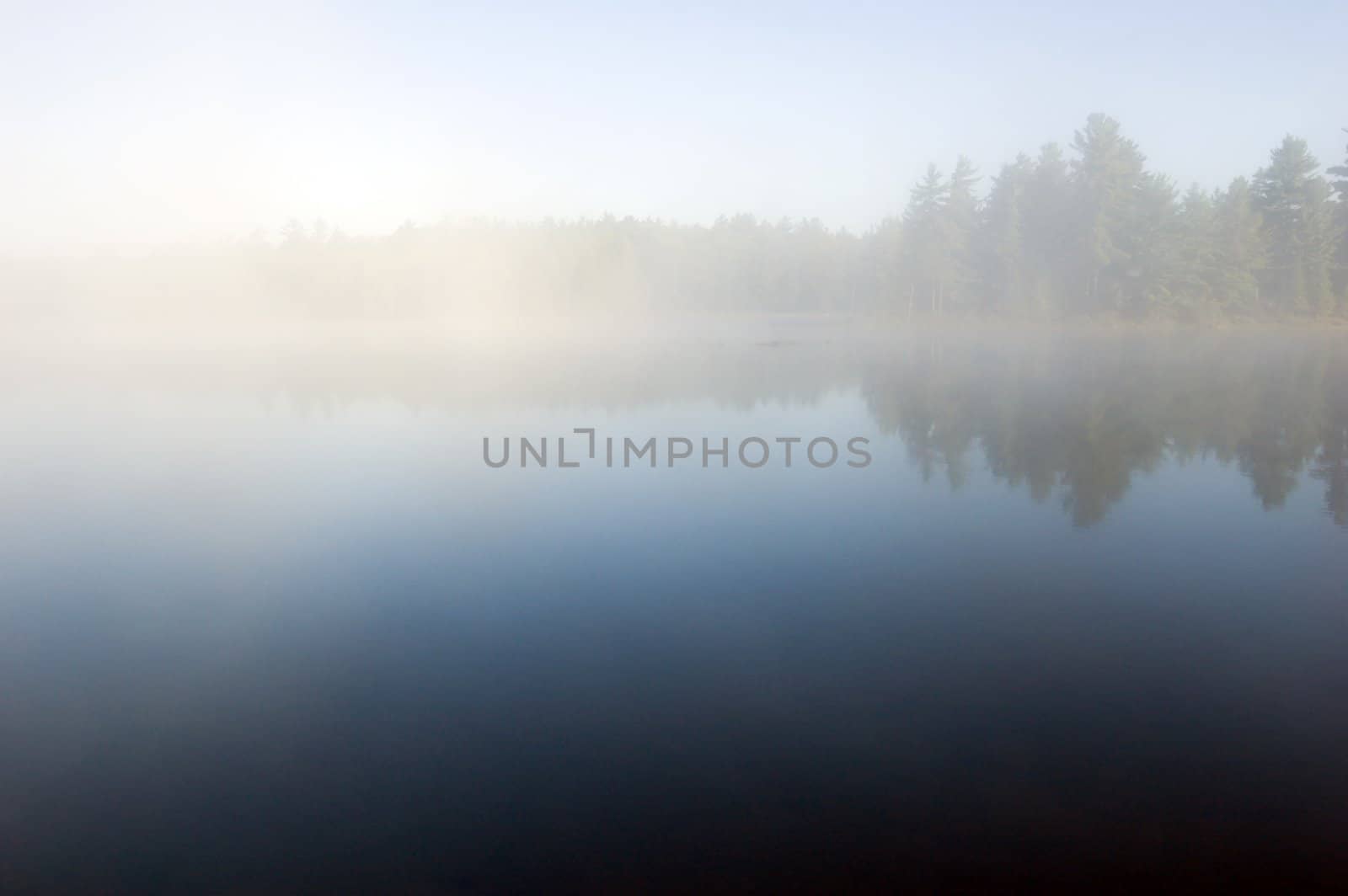 Fog above forest lake in Killarney Park in the morning