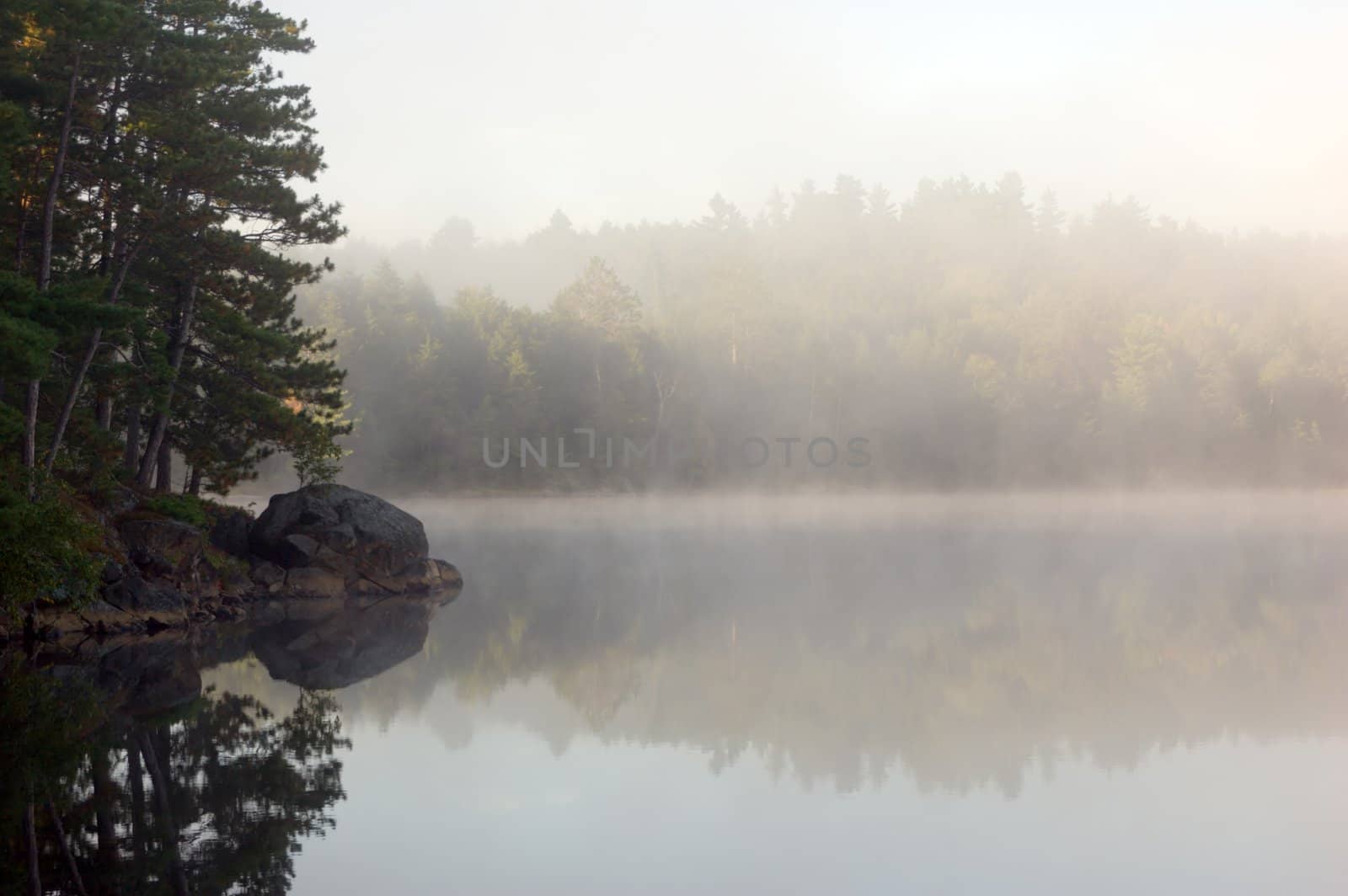 Fog above forest lake in Killarney Park in the morning