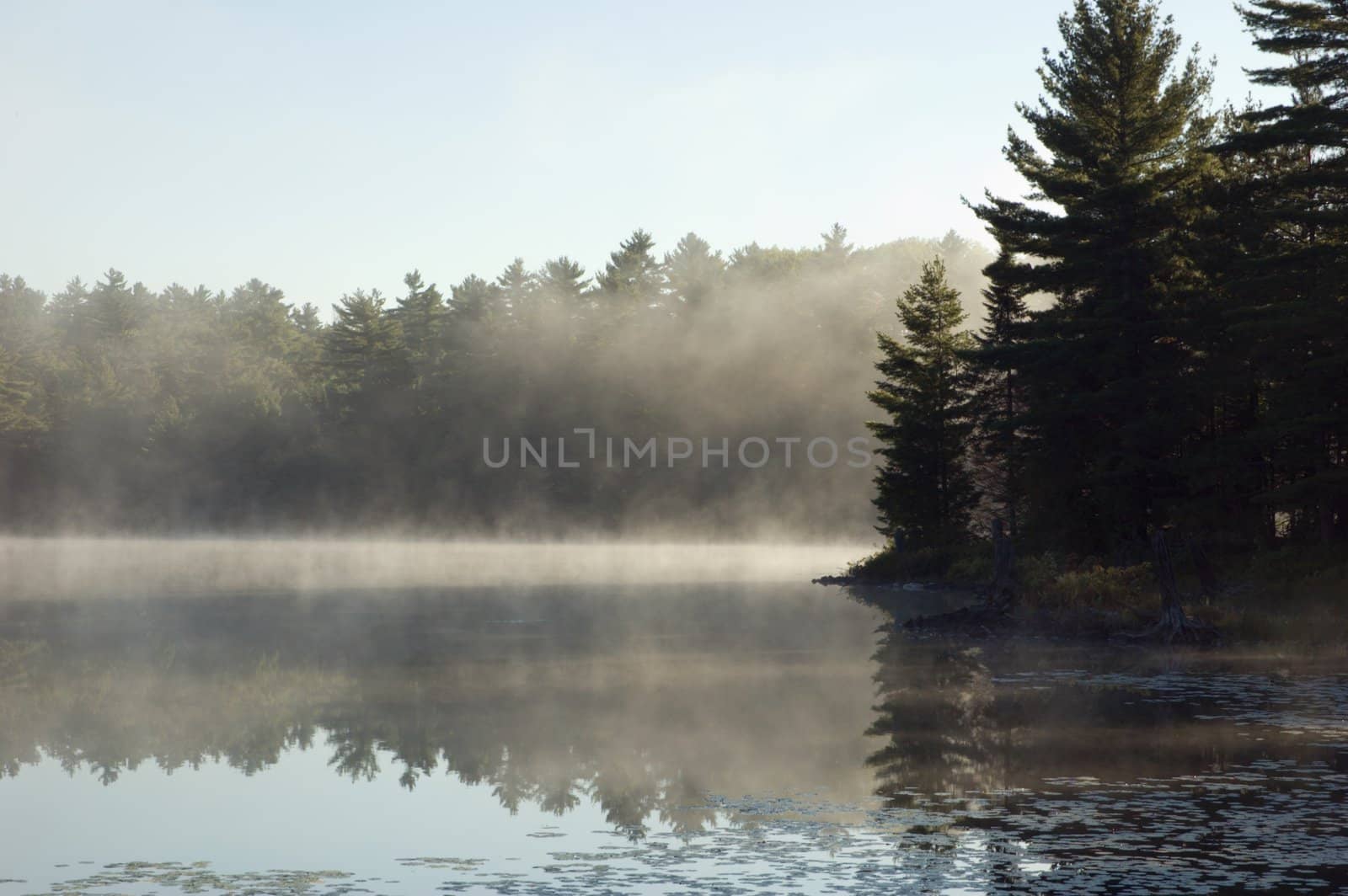 Fog above forest lake in Killarney Park in the morning