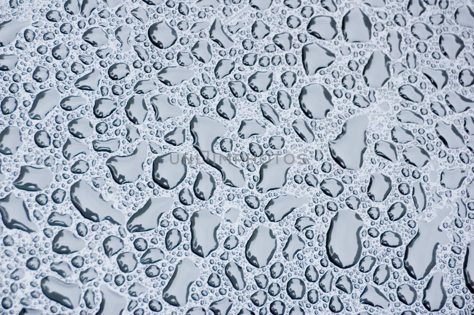 Gray rain drops on a flat surface