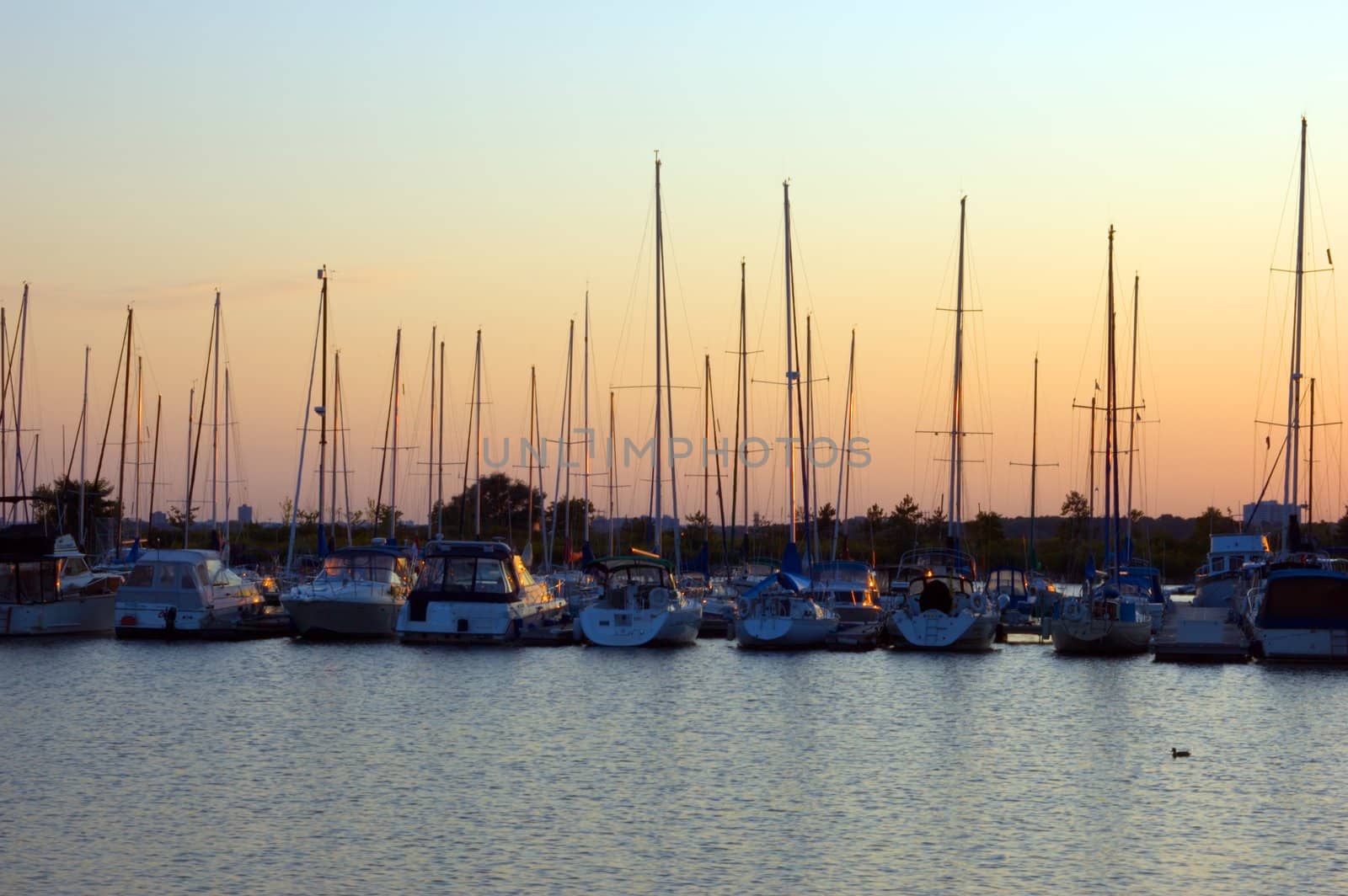 Yachts and boats in Toronto water front