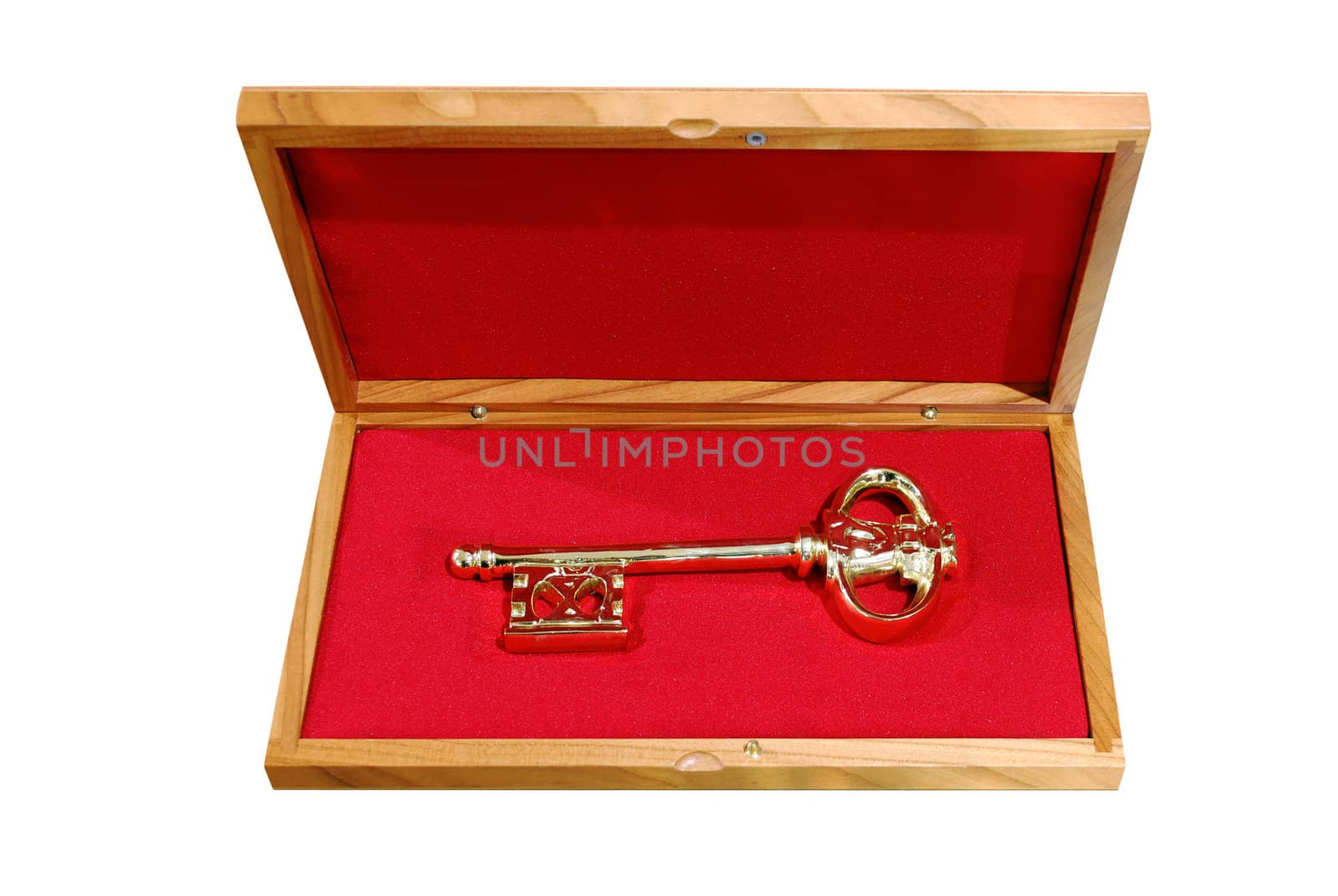 Golden key in wooden box isolated
