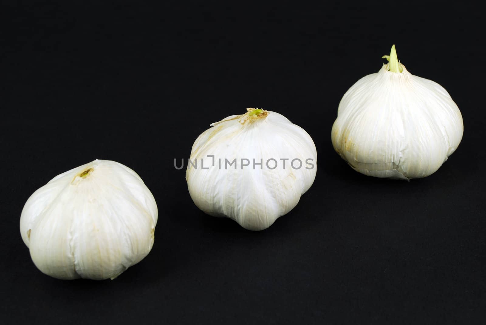 Raw white onions on black background