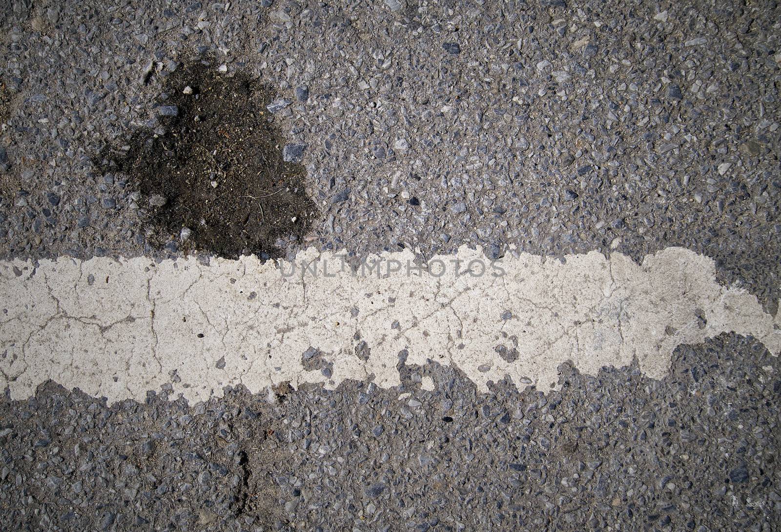 grungy, Asphalt road texture with white stripe
