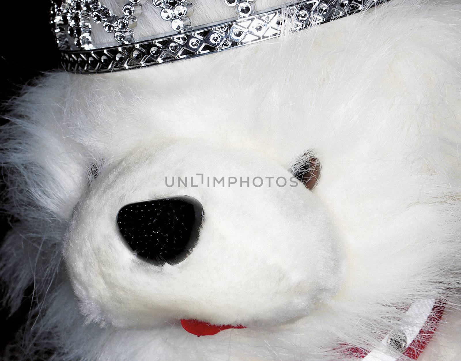close up of fluffy toy dog with tiara on head