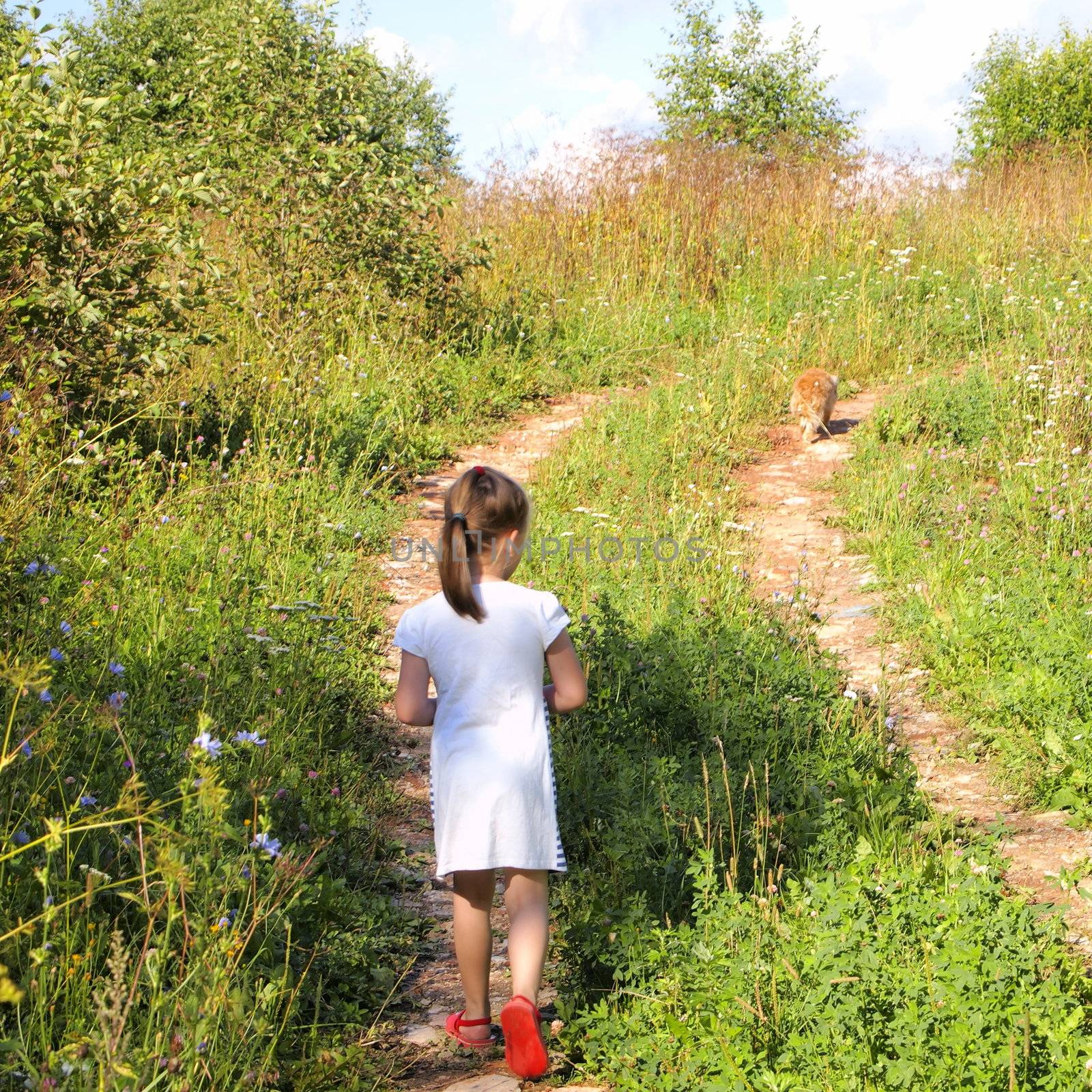 girl with the dog for a walk