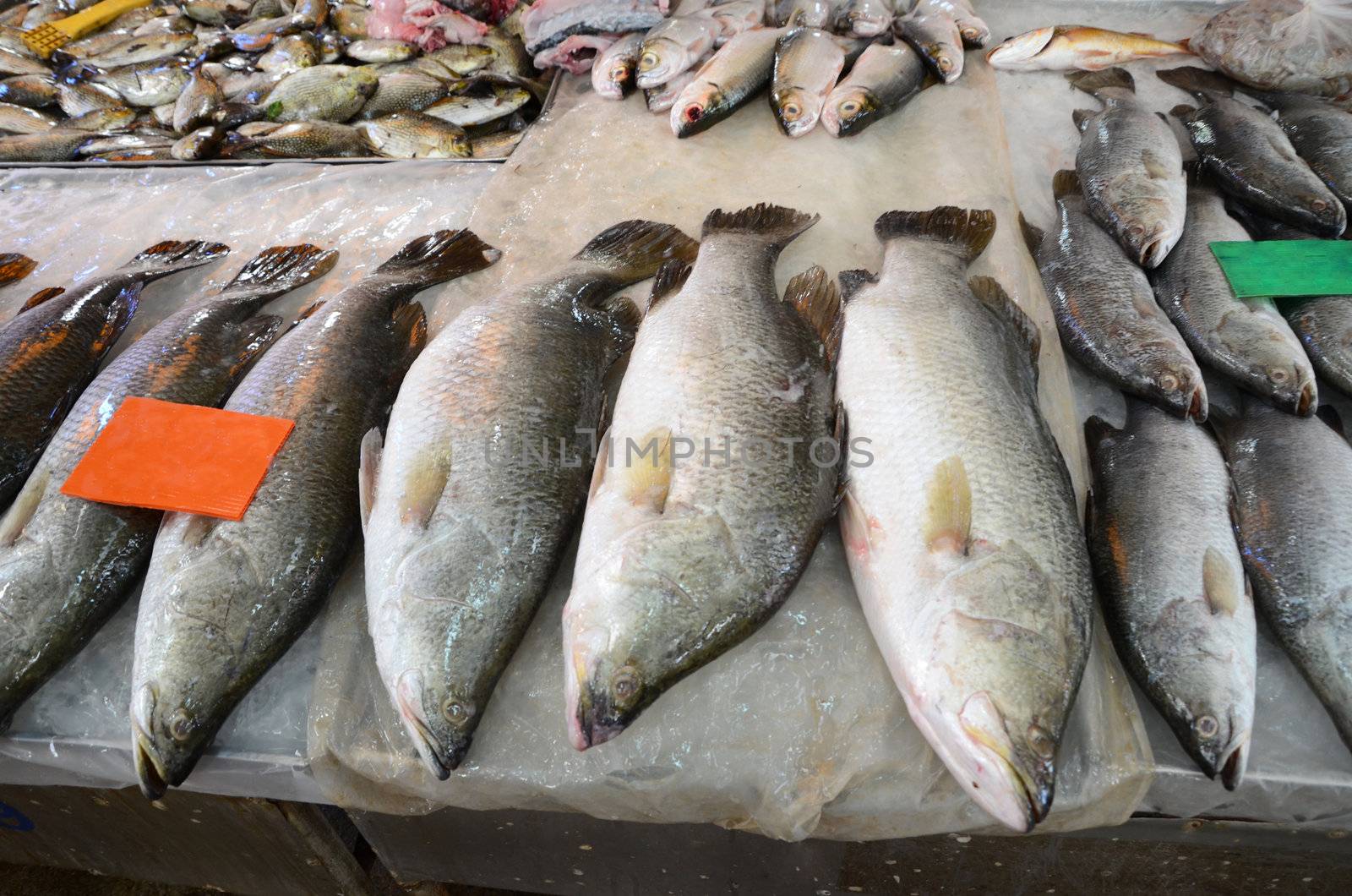 Variety of fresh fish seafood in market by siraanamwong