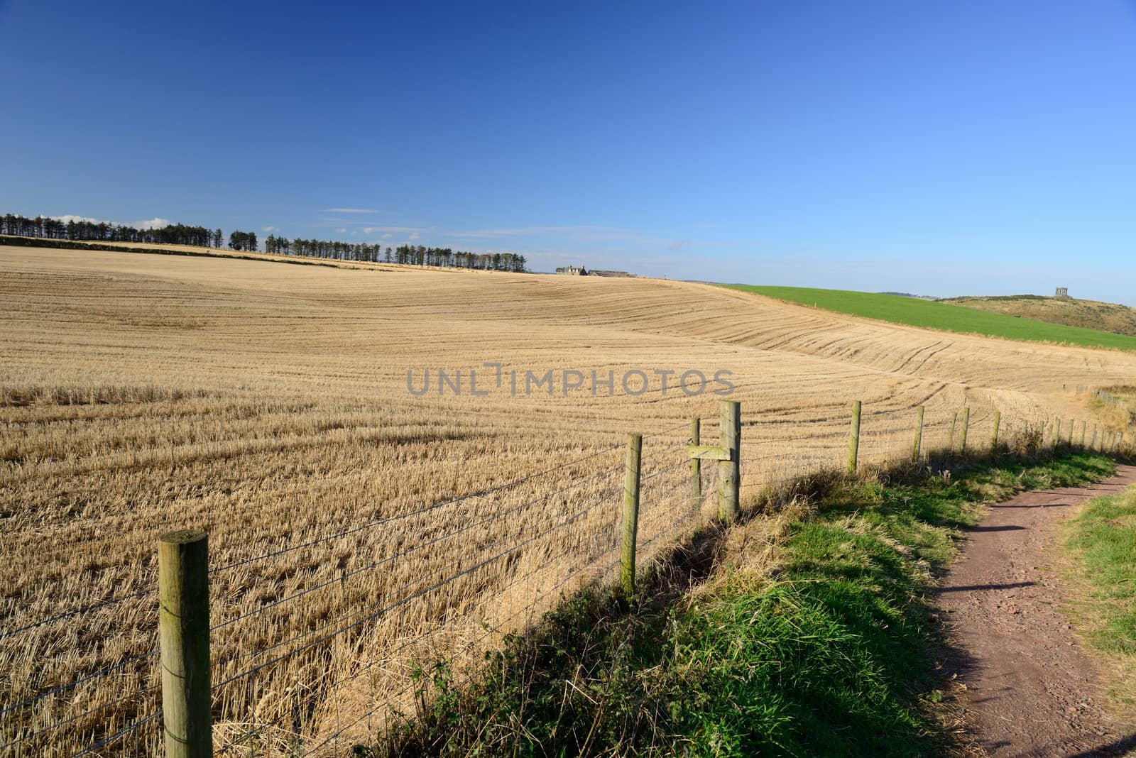 country road beside of hay and  meadow field.