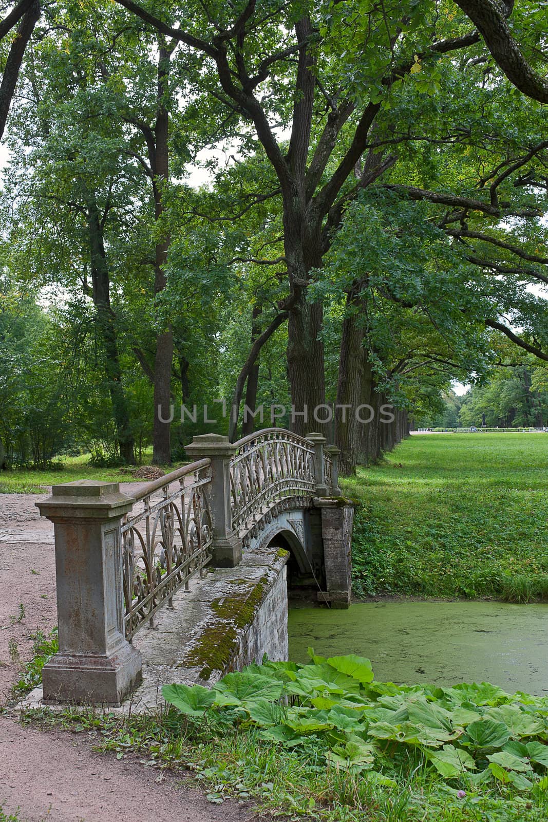 View of  bridge of Alexander Park, Tsarskoye Selo, Russia.