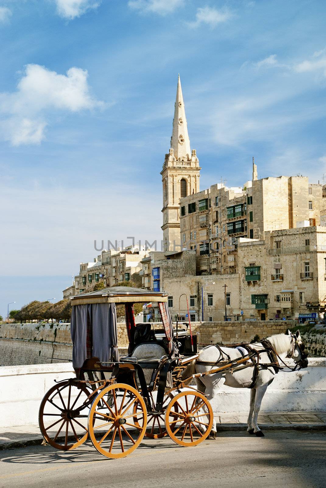 old horsedrawn cart in valetta malta