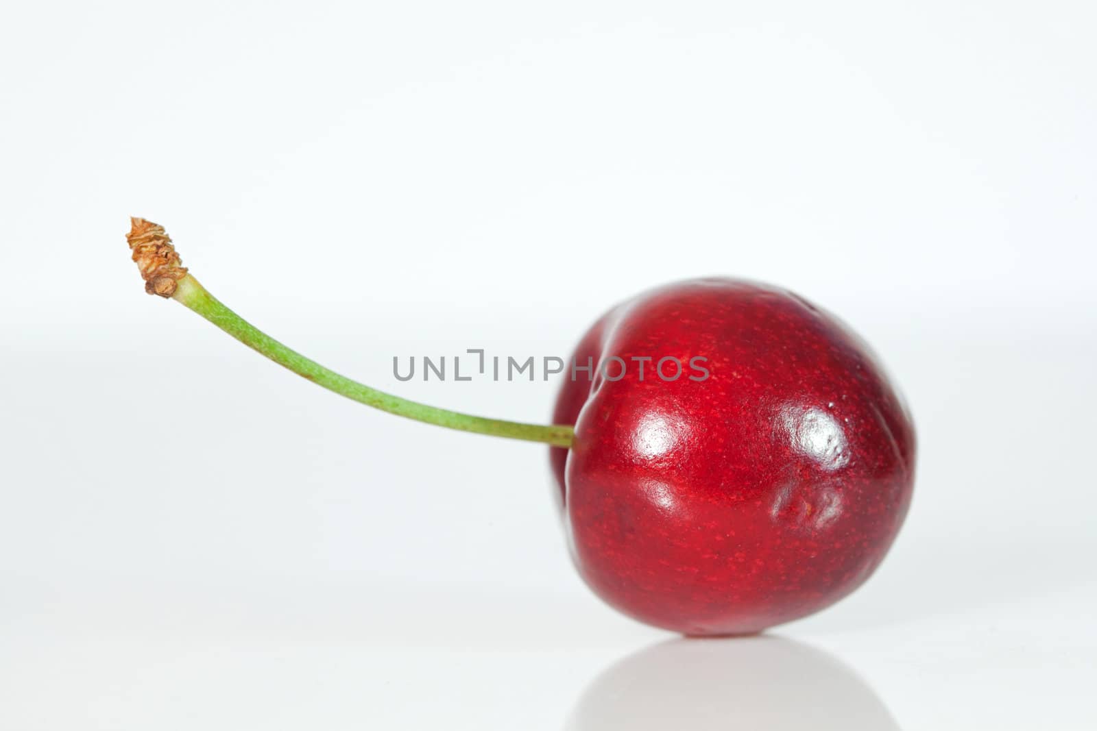 Cherry