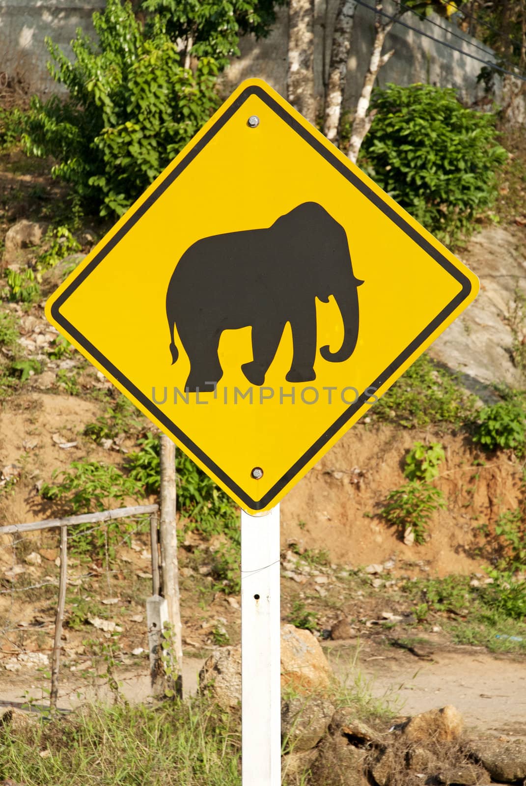 elephant crossing road sign in thailand by jackmalipan