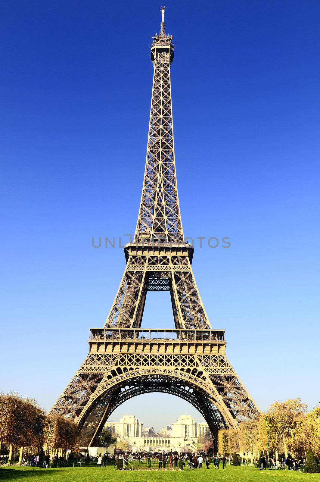 View at Eiffel Tower from the Champ de Mars (Field of Mars)