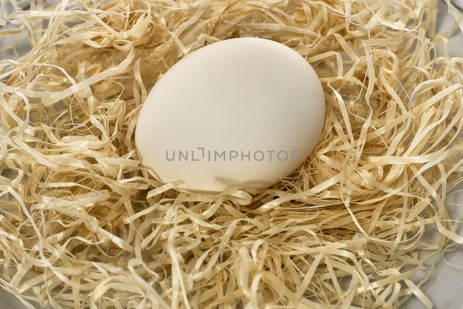 Fresh newly laid hens egg on a nest of straw for eating or using as an ingredient in cooking